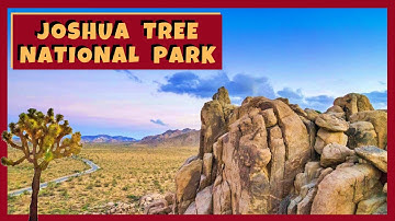 JOSHUA TREE NATIONAL PARK Drone Video