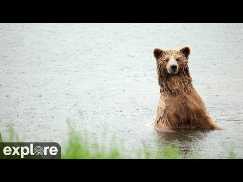 River Watch - Katmai National Park, Alaska powered by EXPLORE.org