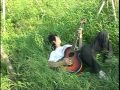 かげぼうし - 夏の風景
