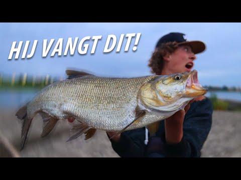 Video: Welke Vissen Zijn Er In Rivieren?