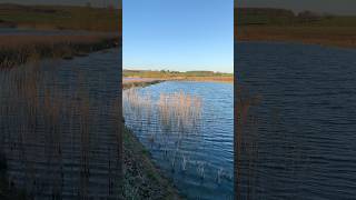 Wellingborough Lake April 23