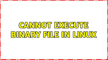 Cannot execute binary file in Linux