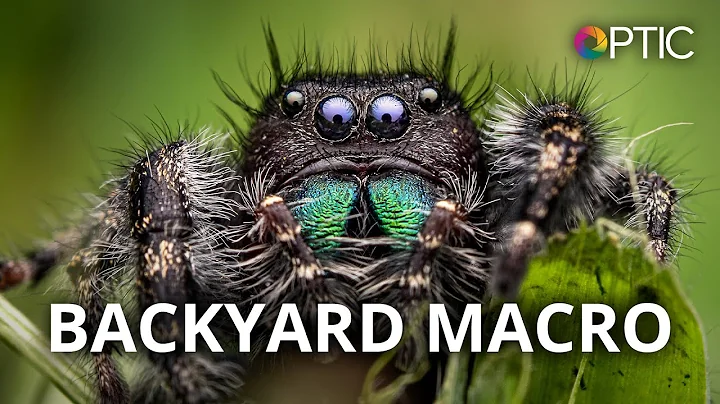 Chris McGinnis: Backyard Macro: Travel to a New Wo...