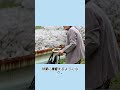 もし生まれ変われるのであれば、もう一度母の子として生まれたい。#事件