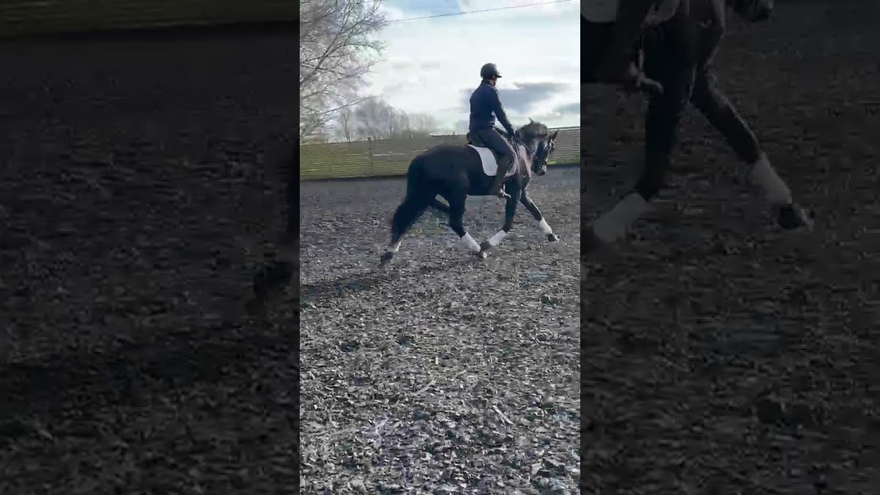 Advert reference - 401870