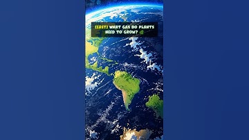 Science Quiz 🌍 | General Science Challenge – Can You Pass Without Googling?