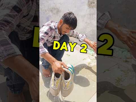 Day 2 Success Archive 100 Days #minivlog