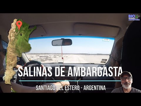 SALINAS DE AMBARGASTA CON OMAR "CHIMPA" NUÑEZ Y SU MUSICA - SANTIAGO DEL ESTERO - ARGENTINA