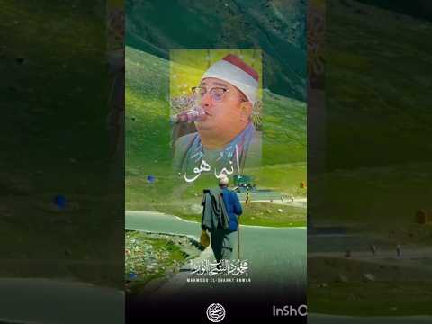 ق ال ر ب إ ن ي ظ ل م ت ن ف س ي محمود الشحات Quran Rayansajid Tv50 Shorts Surah