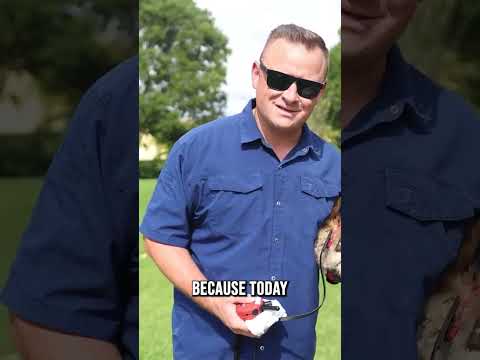Beware! This Will Kill Your Dog!