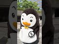 ホゴちゃんが襲ってくる!?