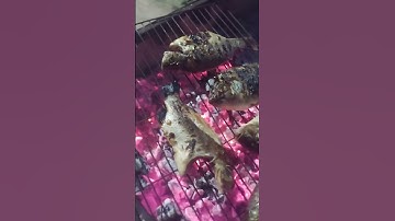 buổi tối nướng cá làm lai rai thật là đã các bạn ơi