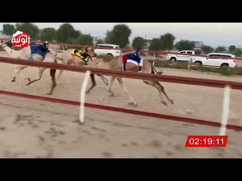 الشوط 2 دوامه لـ عتيق مطر حسن القبيسي 6 25 شارة الديوان 2024 9 22 ايذاع التله 