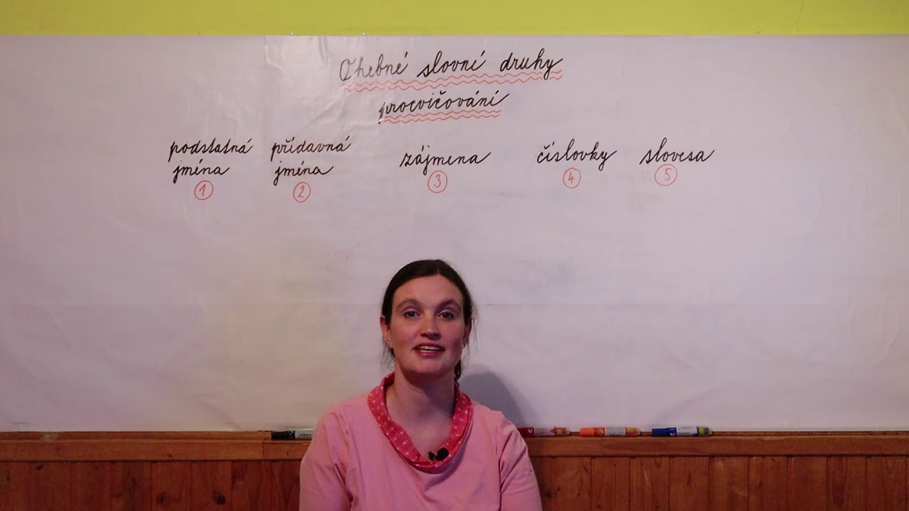 Český jazyk - Ohebné slovní druhy - procvičování 1