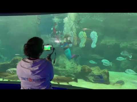 Χάρισαν στιγμές χαράς και ελπίδας στα νοσηλευόμενα παιδιά της Κρήτης