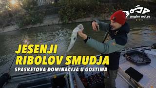 Jesenji Ribolov Smudja - Dominacija u Gostima / Autumn Zander Fishing