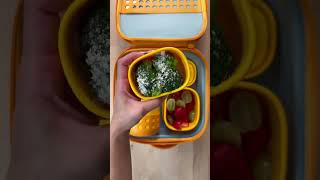 School Lunchbox Ideas | Shrimp and Pasta with Creamy Garlic Sauce