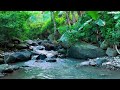 🌿 Relaxing River Flow for Deep Sleep, Focus and Calm Nature Background Sounds 🎧