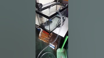 Arduino ตู้ปลาอัตโนมัติ เครื่องถ่ายน้ำ ปั้มน้ำ ให้อาหาร ผ่านมือถือ