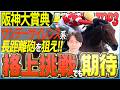 【阪神大賞典2026】狙いはサンデーサイレンス系の長距離砲！もう一つの〝判断材料〟にも注目(坂上明大の重賞血統査定)《東スポ競馬》