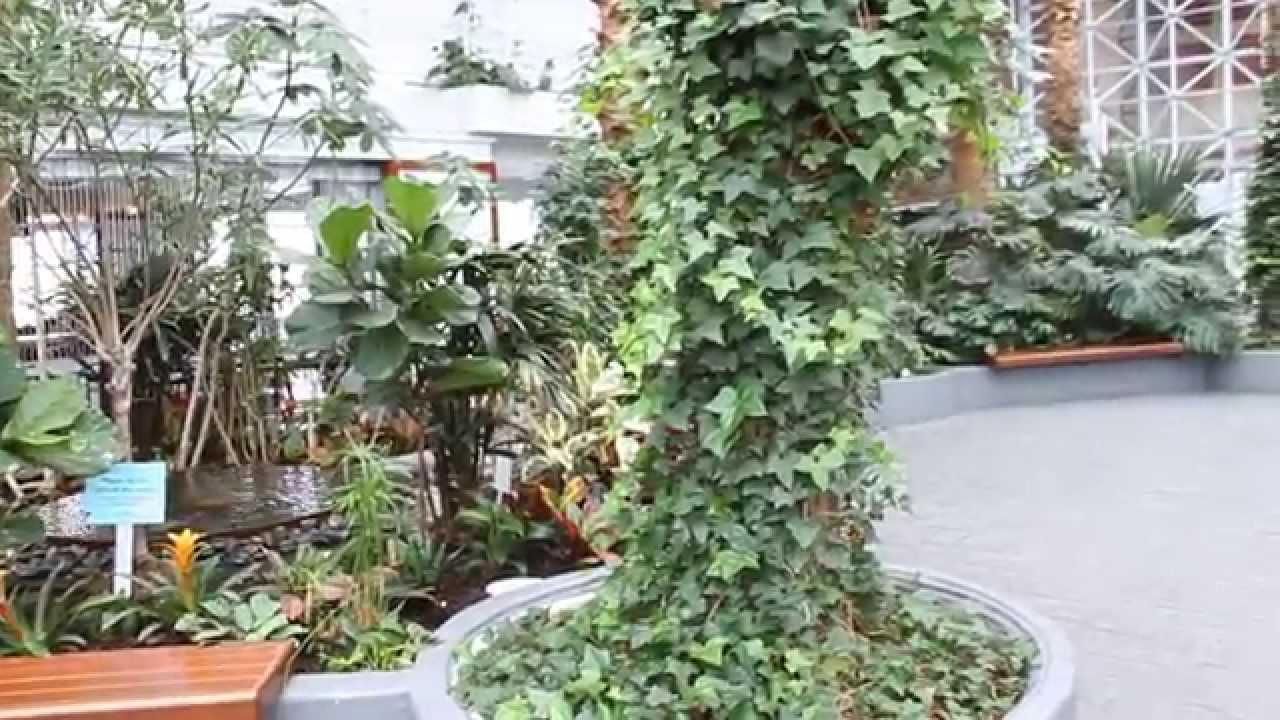 Garden At Navy Pier In Chicago Youtube