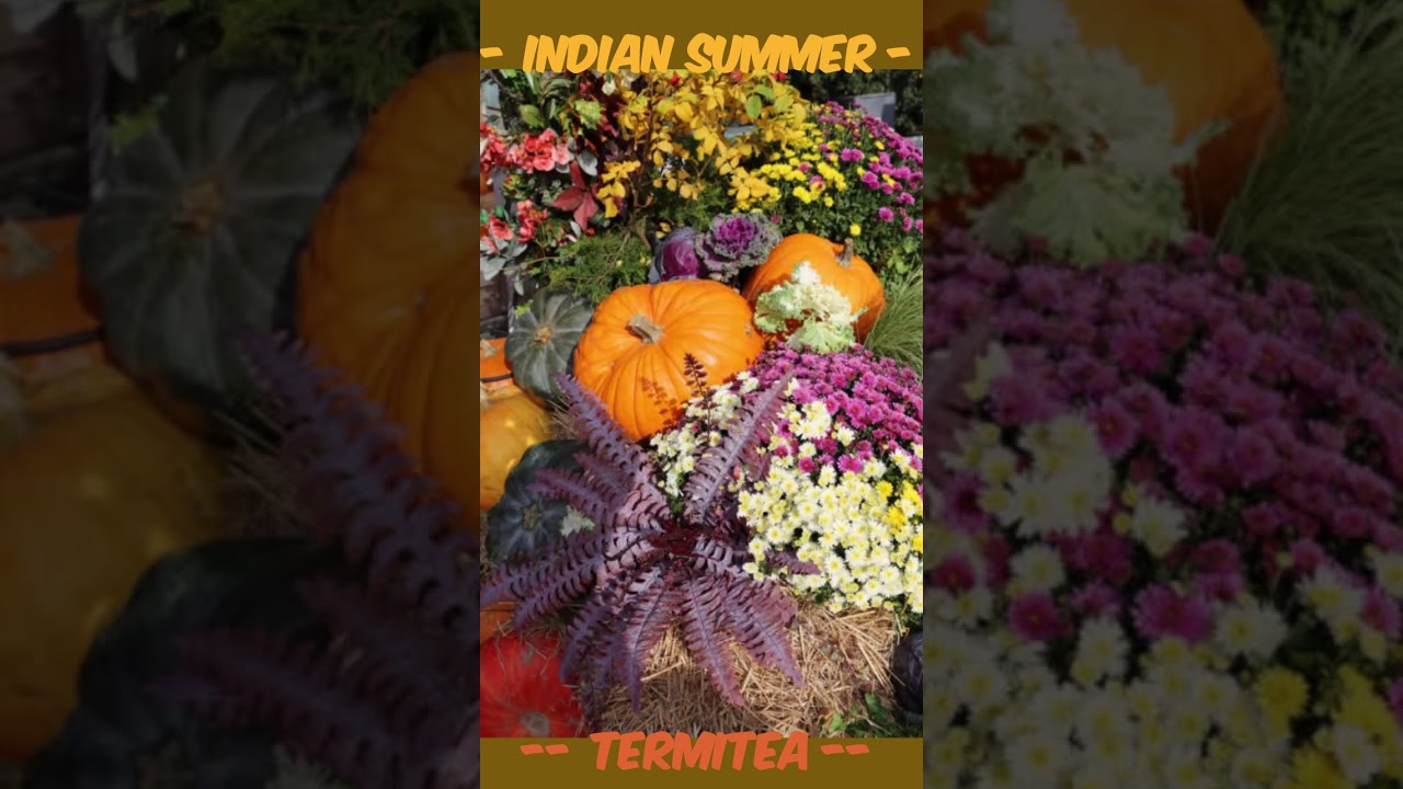 Indian Summer 