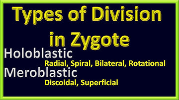 Types of Ćleavage In Zygote | Holoblastic Vs Meroblastic | Radial _ Spiral _ Superficial_Rotational