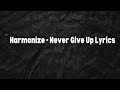 Harmonize Never Give Up Lyrics Video 