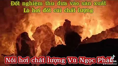 Đốt nghiệm thu lò hơi đốt củi chất lượng cho ngành sản xuất đồ hộp đóng lon tại Long an