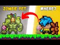 I Got FREE Anniversary Pet In Curse Of Aros!