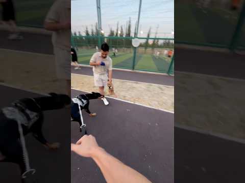 Dobermanla chuvava karşı karşıya #dog #doberman