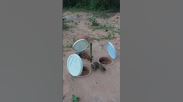 Primitive Creative & Effective Unique Bird Trapping Techniques - DIY Quail Trap #shorts #shortvideo