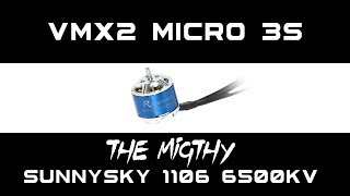 VMX2 Micro 3 3S with Sunnysky R1106 6500kv