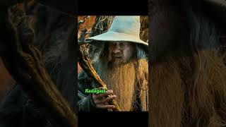 Did you notice that Gandalf's staff has been replaced many times?