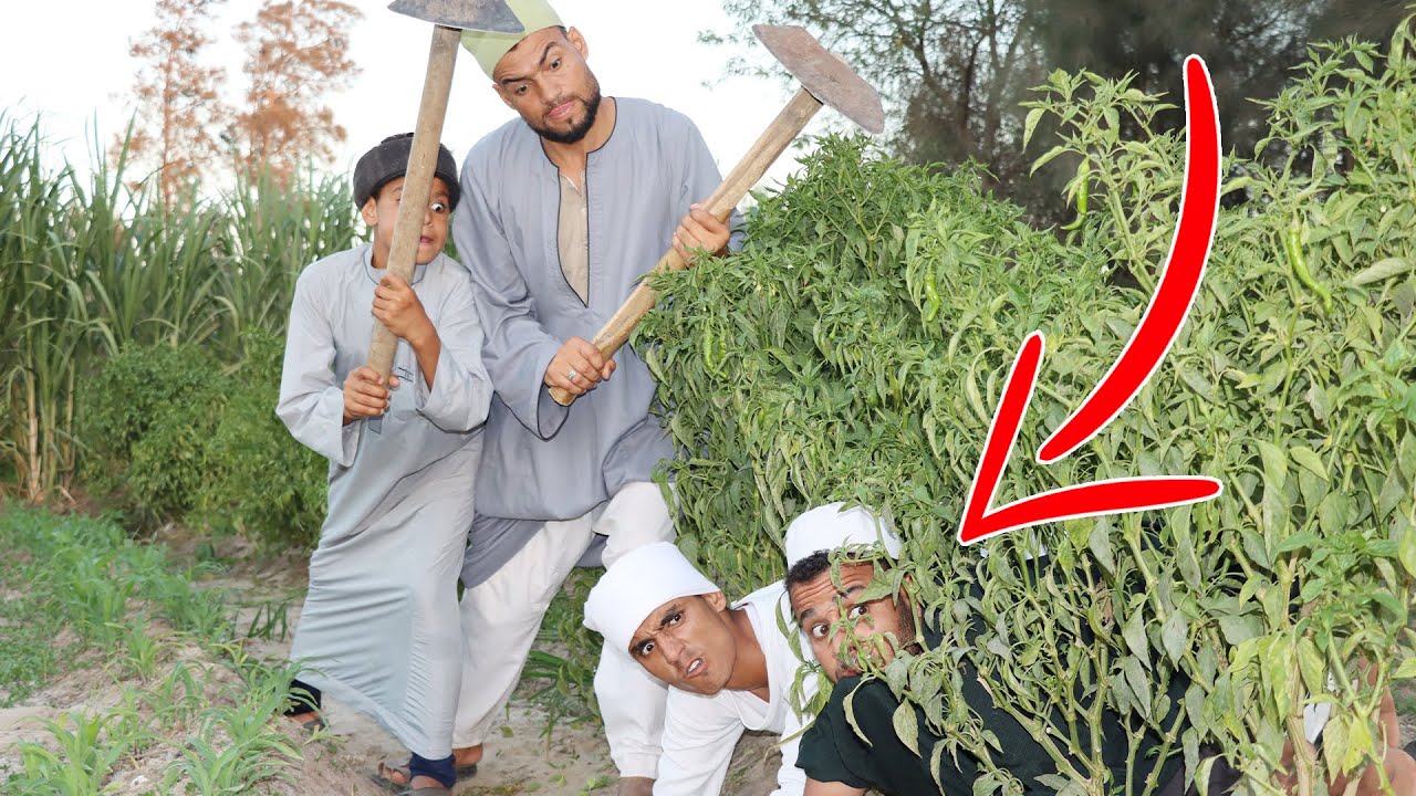 نزلنا أرض الحاج بسيونى بالغلط - شوف رد زوقلة عمل إيه مصيبة كبيرة