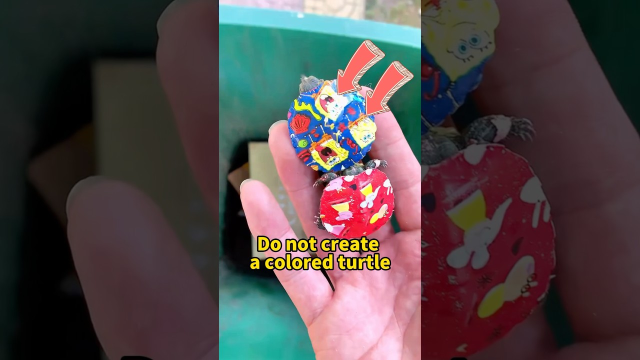 Why You Shouldn't Paint Colored Pigments on Turtle Shells