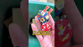 Why You Shouldn't Paint Colored Pigments on Turtle Shells