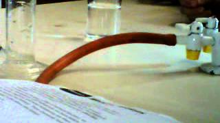 hertswood magic science