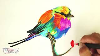 U.S. Art Supply - Speed Painting of Bird with Watercolor Markers screenshot 2