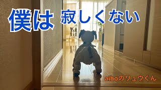 「私、行ってくるね！」aibo はるちゃん旅立ちます！