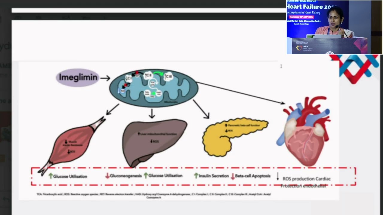 Mitochondrial Dysfunction - Role of Imeglimin ||  Dr Harini Reddy