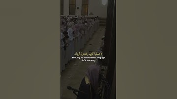 سورة المائدة الآية 51 - بصوت الشيخ محمد اللحيدان
