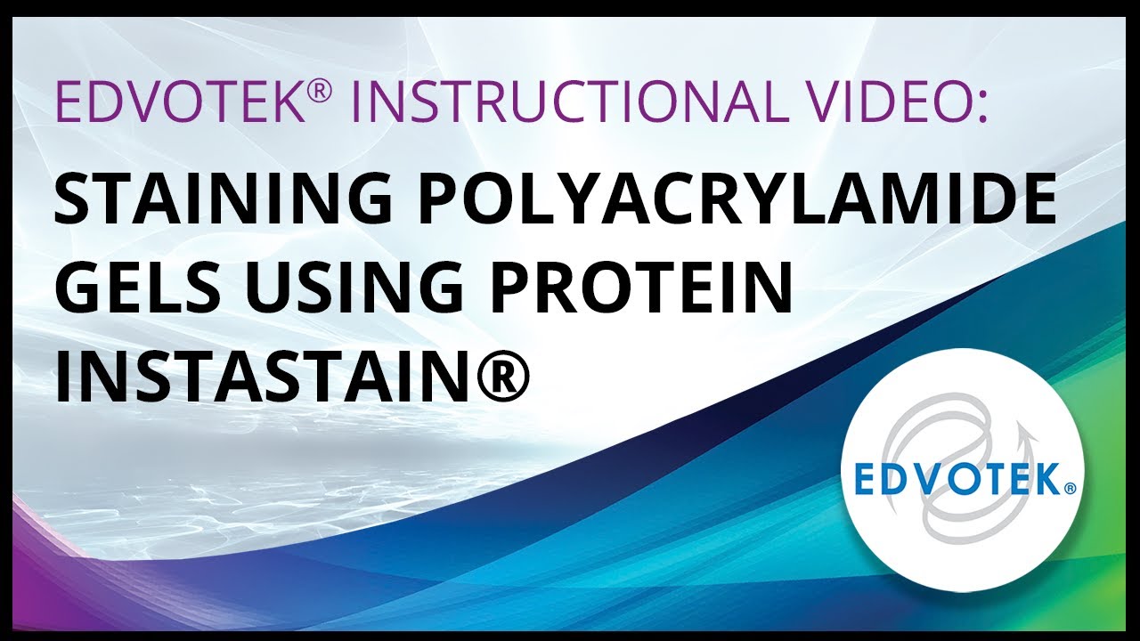Staining Polyacrylamide Gels using Protein Instastain YouTube
