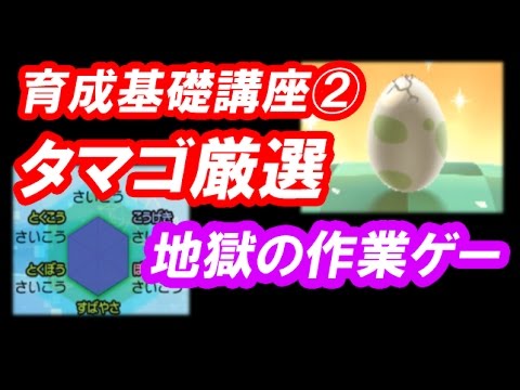 ポケモン サンムーン実況 タマゴ厳選のやり方 個体値を最高にする方法 Youtube