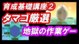 ポケモン サンムーン実況 タマゴ厳選のやり方 個体値を最高にする方法 Youtube