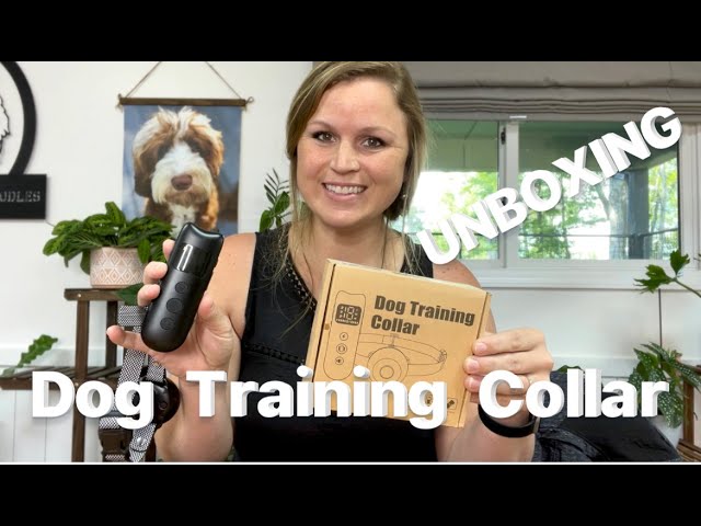 LV BAXTER XSMALL DOG COLLAR Unboxing  루이비통 개목걸이 언박싱 