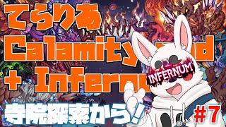 【Terraria Calamity mod】超高難易度七日目　イベント系もやらんとな～！【Infernum mode】