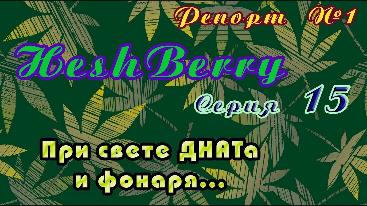 HashBerry-репорт 01/16: Обзор  Удобрения  Борьба с солями