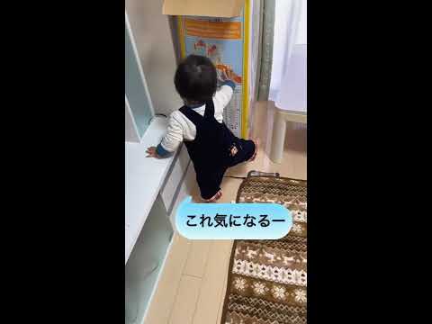 １歳１ヶ月♡くしゃみあるある？☆色々欲求不満wな赤ちゃん♡