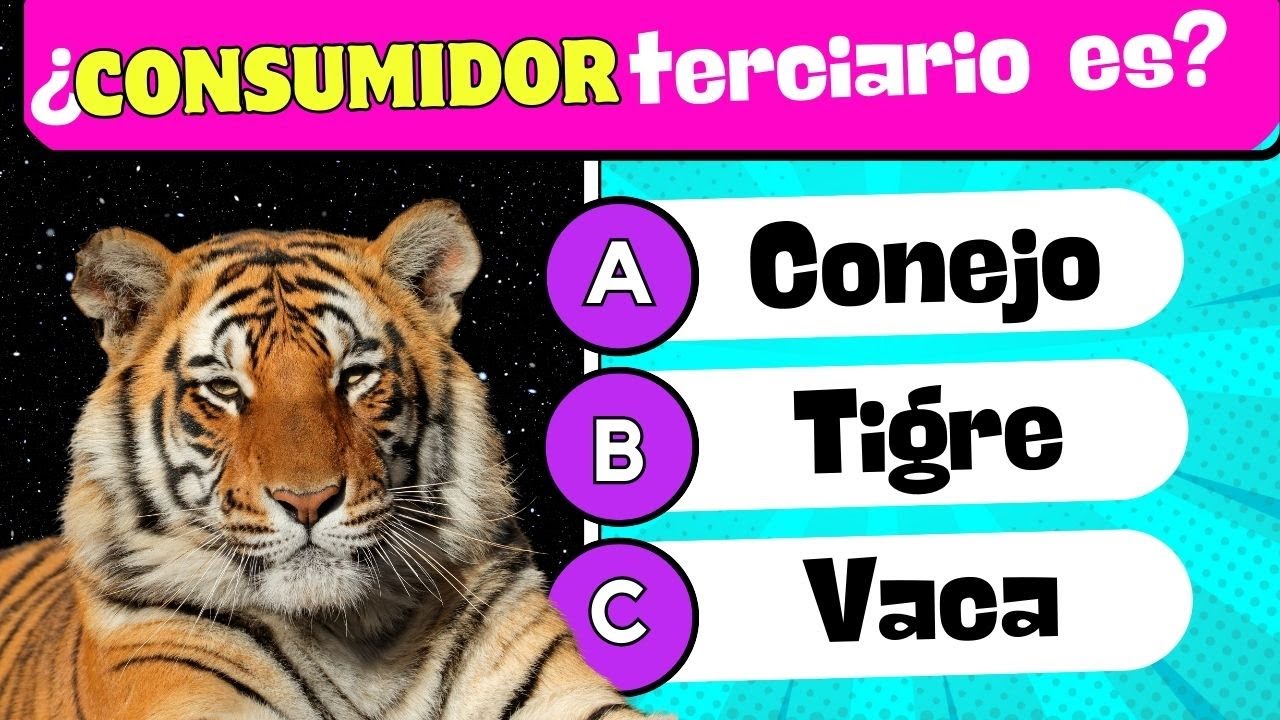 🦁🌱 ¿Cuánto Sabes sobre la Cadena Alimenticia? 🐾 🧠 Quiz sobre la Cadena Alimenticia 📚🏆